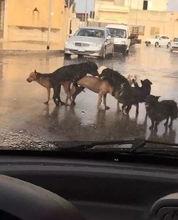 国产原创区,匠心独运——探索中国原创文化魅力